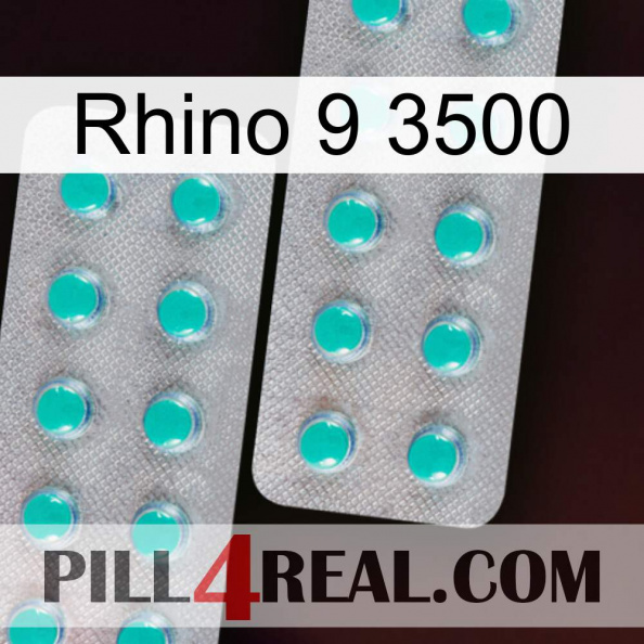 Rhino 9 3500 29.jpg